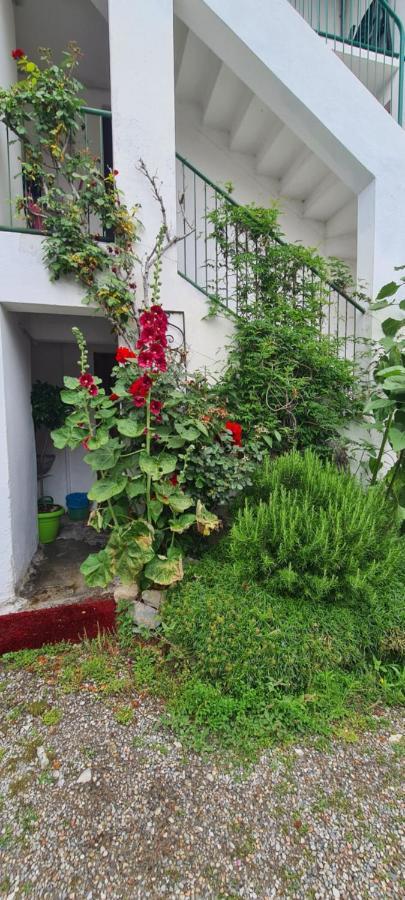 Da Ersilia Appartement Cernobbio Buitenkant foto